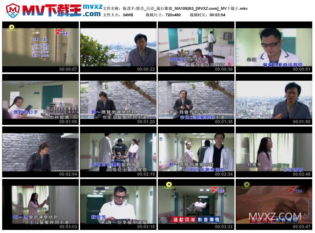 陈茂丰-情关_台语_流行歌曲_MA109263